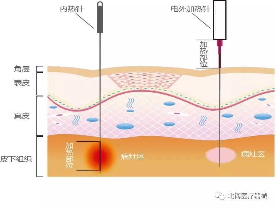 健康時(shí)報1